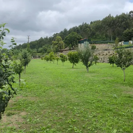 Caza De Cima De