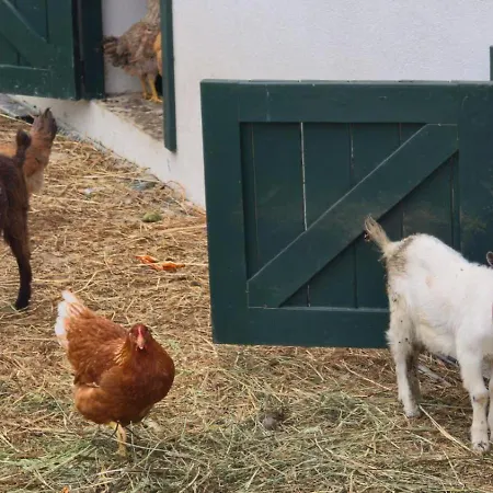Farmház Caza De Cima De Penafiel